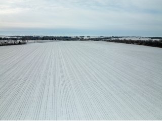Property photo 9 - FARMLAND AUCTION - 115+/- ACRES OFFERED IN 3 TRACTS IN MACON COUNTY, ILLINOIS