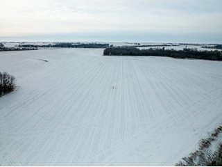 Property photo 4 - FARMLAND AUCTION - 115+/- ACRES OFFERED IN 3 TRACTS IN MACON COUNTY, ILLINOIS