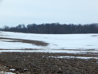 Property photo 2 - LAND AUCTION - 84.3+/-ACRES OFFERED IN 5 TRACTS IN WHITLEY COUNTY, INDIANA