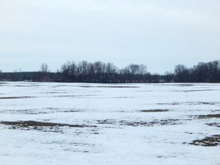 Property photo 14 - LAND AUCTION - 84.3+/-ACRES OFFERED IN 5 TRACTS IN WHITLEY COUNTY, INDIANA