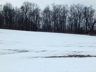 Property photo 13 - LAND AUCTION - 84.3+/-ACRES OFFERED IN 5 TRACTS IN WHITLEY COUNTY, INDIANA