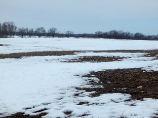 Property photo 12 - LAND AUCTION - 84.3+/-ACRES OFFERED IN 5 TRACTS IN WHITLEY COUNTY, INDIANA