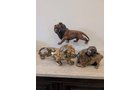 Property photo 417 - TIMED ONLINE ONLY PERSONAL PROPERTY AUCTION IN ALLEN COUNTY, INDIANA