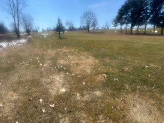 Property photo 43 - AUCTION - 127+/-ACRES OFFERED IN 14 LAND TRACTS AND 1 EQUIPMENT TRACT IN STEUBEN COUNTY, INDIANA