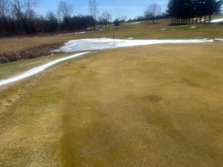 Property photo 46 - AUCTION - 127+/-ACRES OFFERED IN 14 LAND TRACTS AND 1 EQUIPMENT TRACT IN STEUBEN COUNTY, INDIANA