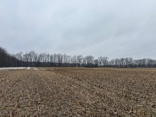 Property photo 31 - LAND AUCTION - 64+/-ACRES OFFERED IN 3 TRACTS IN CALHOUN COUNTY, MICHIGAN