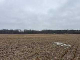 Property photo 33 - LAND AUCTION - 64+/-ACRES OFFERED IN 3 TRACTS IN CALHOUN COUNTY, MICHIGAN