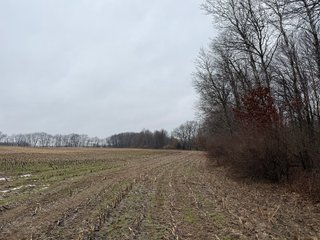 Property photo 34 - LAND AUCTION - 64+/-ACRES OFFERED IN 3 TRACTS IN CALHOUN COUNTY, MICHIGAN