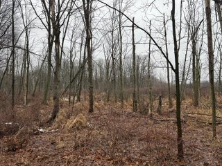 Property photo 35 - LAND AUCTION - 64+/-ACRES OFFERED IN 3 TRACTS IN CALHOUN COUNTY, MICHIGAN