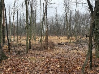 Property photo 36 - LAND AUCTION - 64+/-ACRES OFFERED IN 3 TRACTS IN CALHOUN COUNTY, MICHIGAN