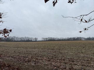 Property photo 37 - LAND AUCTION - 64+/-ACRES OFFERED IN 3 TRACTS IN CALHOUN COUNTY, MICHIGAN