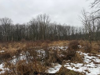 Property photo 27 - LAND AUCTION - 64+/-ACRES OFFERED IN 3 TRACTS IN CALHOUN COUNTY, MICHIGAN