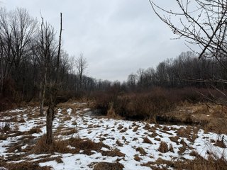 Property photo 39 - LAND AUCTION - 64+/-ACRES OFFERED IN 3 TRACTS IN CALHOUN COUNTY, MICHIGAN