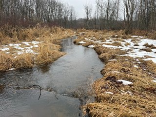 Property photo 40 - LAND AUCTION - 64+/-ACRES OFFERED IN 3 TRACTS IN CALHOUN COUNTY, MICHIGAN