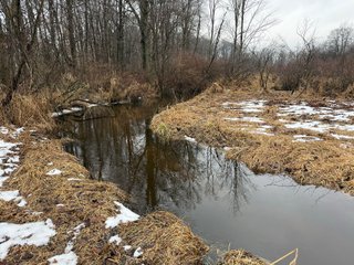 Property photo 41 - LAND AUCTION - 64+/-ACRES OFFERED IN 3 TRACTS IN CALHOUN COUNTY, MICHIGAN