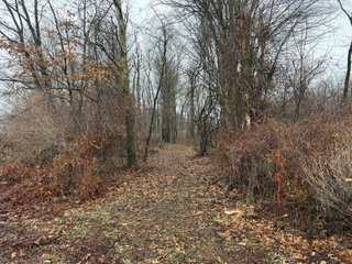 Property photo 42 - LAND AUCTION - 64+/-ACRES OFFERED IN 3 TRACTS IN CALHOUN COUNTY, MICHIGAN