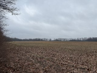 Property photo 44 - LAND AUCTION - 64+/-ACRES OFFERED IN 3 TRACTS IN CALHOUN COUNTY, MICHIGAN