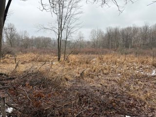 Property photo 45 - LAND AUCTION - 64+/-ACRES OFFERED IN 3 TRACTS IN CALHOUN COUNTY, MICHIGAN