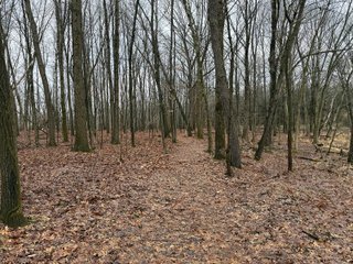 Property photo 47 - LAND AUCTION - 64+/-ACRES OFFERED IN 3 TRACTS IN CALHOUN COUNTY, MICHIGAN