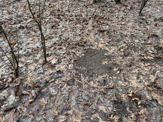 Property photo 14 - LAND AUCTION - 64+/-ACRES OFFERED IN 3 TRACTS IN CALHOUN COUNTY, MICHIGAN