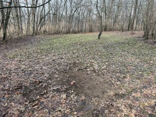 Property photo 15 - LAND AUCTION - 64+/-ACRES OFFERED IN 3 TRACTS IN CALHOUN COUNTY, MICHIGAN