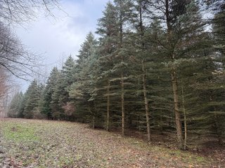 Property photo 16 - LAND AUCTION - 64+/-ACRES OFFERED IN 3 TRACTS IN CALHOUN COUNTY, MICHIGAN