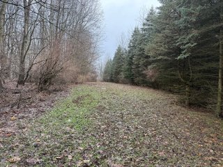 Property photo 17 - LAND AUCTION - 64+/-ACRES OFFERED IN 3 TRACTS IN CALHOUN COUNTY, MICHIGAN