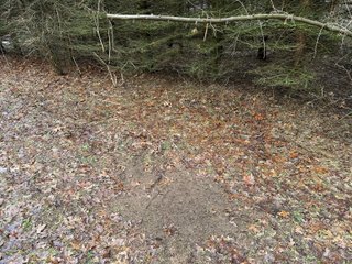 Property photo 18 - LAND AUCTION - 64+/-ACRES OFFERED IN 3 TRACTS IN CALHOUN COUNTY, MICHIGAN