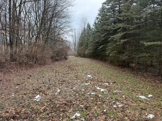 Property photo 19 - LAND AUCTION - 64+/-ACRES OFFERED IN 3 TRACTS IN CALHOUN COUNTY, MICHIGAN