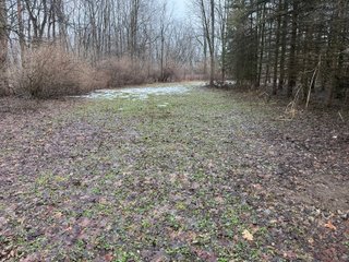 Property photo 22 - LAND AUCTION - 64+/-ACRES OFFERED IN 3 TRACTS IN CALHOUN COUNTY, MICHIGAN