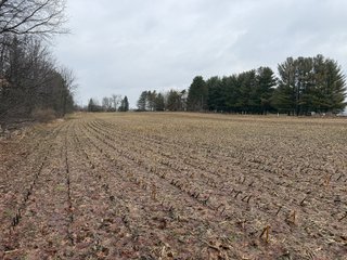 Property photo 23 - LAND AUCTION - 64+/-ACRES OFFERED IN 3 TRACTS IN CALHOUN COUNTY, MICHIGAN