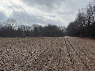 Property photo 24 - LAND AUCTION - 64+/-ACRES OFFERED IN 3 TRACTS IN CALHOUN COUNTY, MICHIGAN
