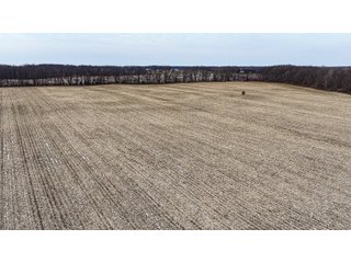 Property photo 5 - LAND AUCTION - 64+/-ACRES OFFERED IN 3 TRACTS IN CALHOUN COUNTY, MICHIGAN
