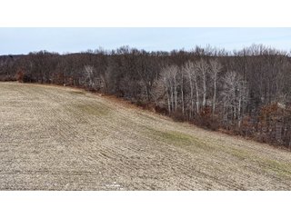 Property photo 6 - LAND AUCTION - 64+/-ACRES OFFERED IN 3 TRACTS IN CALHOUN COUNTY, MICHIGAN