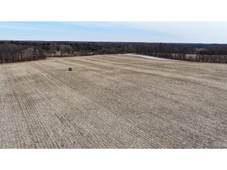Property photo 11 - LAND AUCTION - 64+/-ACRES OFFERED IN 3 TRACTS IN CALHOUN COUNTY, MICHIGAN