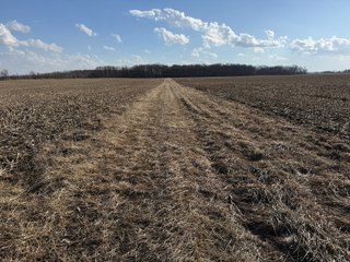 Property photo 31 - LAND AUCTION - 262+/-ACRES OFFERED IN 7 TRACTS IN WHITLEY COUNTY, INDIANA