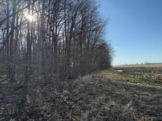 Property photo 32 - LAND AUCTION - 262+/-ACRES OFFERED IN 7 TRACTS IN WHITLEY COUNTY, INDIANA