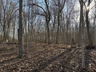 Property photo 33 - LAND AUCTION - 262+/-ACRES OFFERED IN 7 TRACTS IN WHITLEY COUNTY, INDIANA