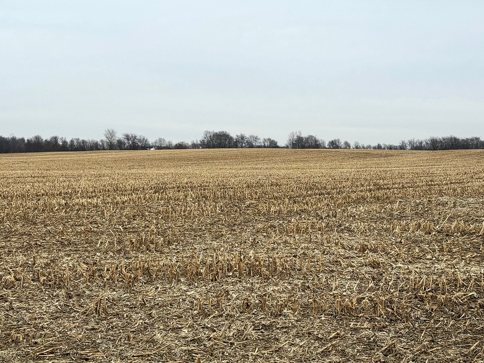 Property photo 17 - LAND AUCTION -78+/-ACRES OFFERED IN 1 TRACT IN WAYNE COUNTY, INDIANA