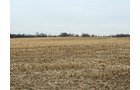 Property photo 17 - LAND AUCTION -78+/-ACRES OFFERED IN 1 TRACT IN WAYNE COUNTY, INDIANA