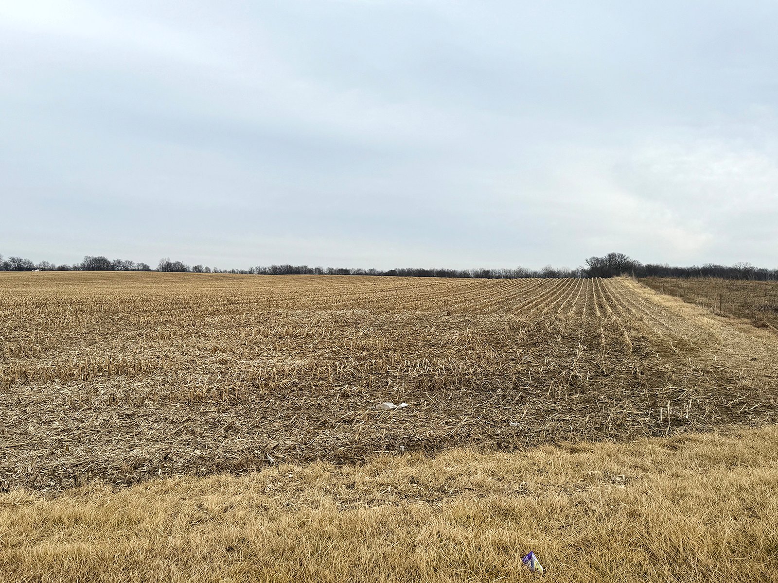 Property photo 16 - LAND AUCTION -78+/-ACRES OFFERED IN 1 TRACT IN WAYNE COUNTY, INDIANA