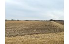 Property photo 16 - LAND AUCTION -78+/-ACRES OFFERED IN 1 TRACT IN WAYNE COUNTY, INDIANA