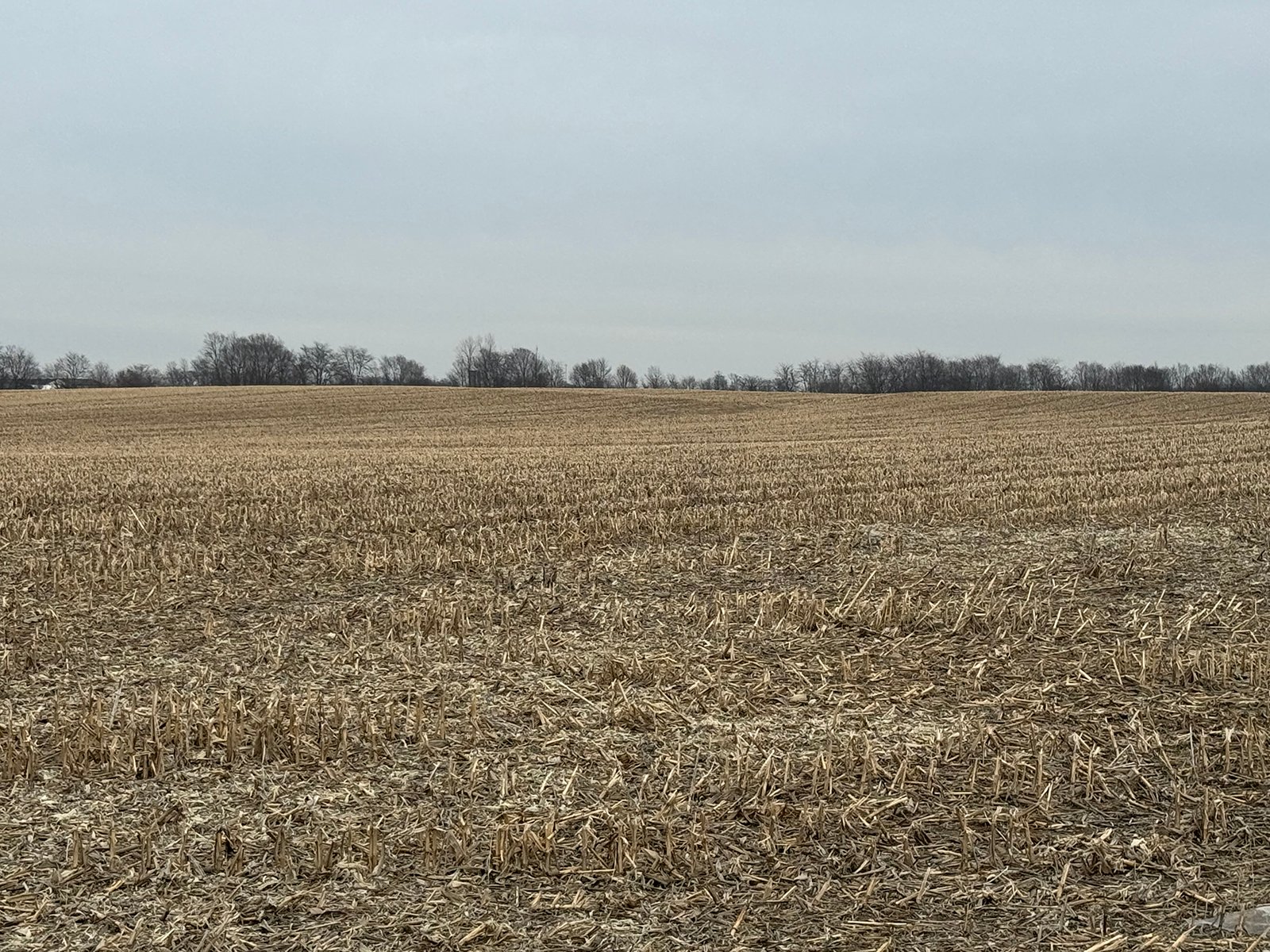 Property photo 2 - LAND AUCTION -78+/-ACRES OFFERED IN 1 TRACT IN WAYNE COUNTY, INDIANA