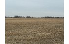 Property photo 2 - LAND AUCTION -78+/-ACRES OFFERED IN 1 TRACT IN WAYNE COUNTY, INDIANA