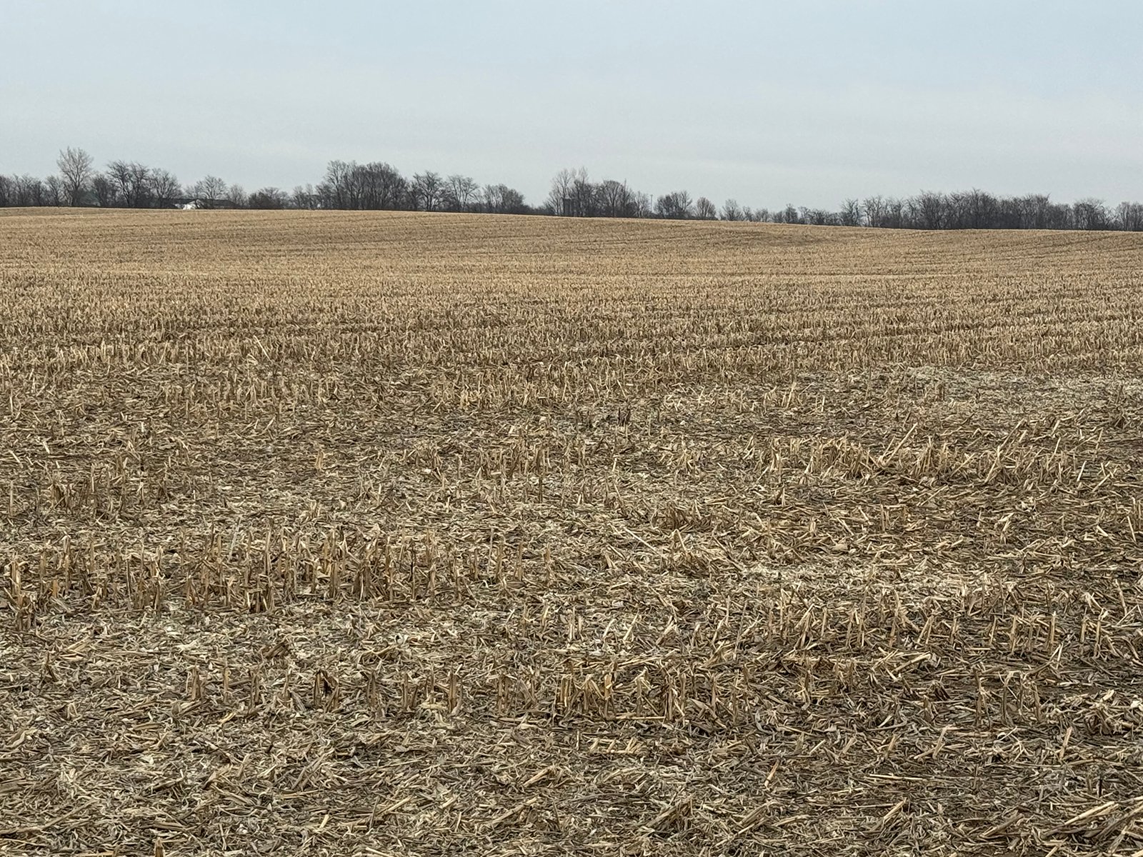 Property photo 15 - LAND AUCTION -78+/-ACRES OFFERED IN 1 TRACT IN WAYNE COUNTY, INDIANA