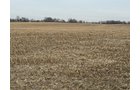 Property photo 15 - LAND AUCTION -78+/-ACRES OFFERED IN 1 TRACT IN WAYNE COUNTY, INDIANA