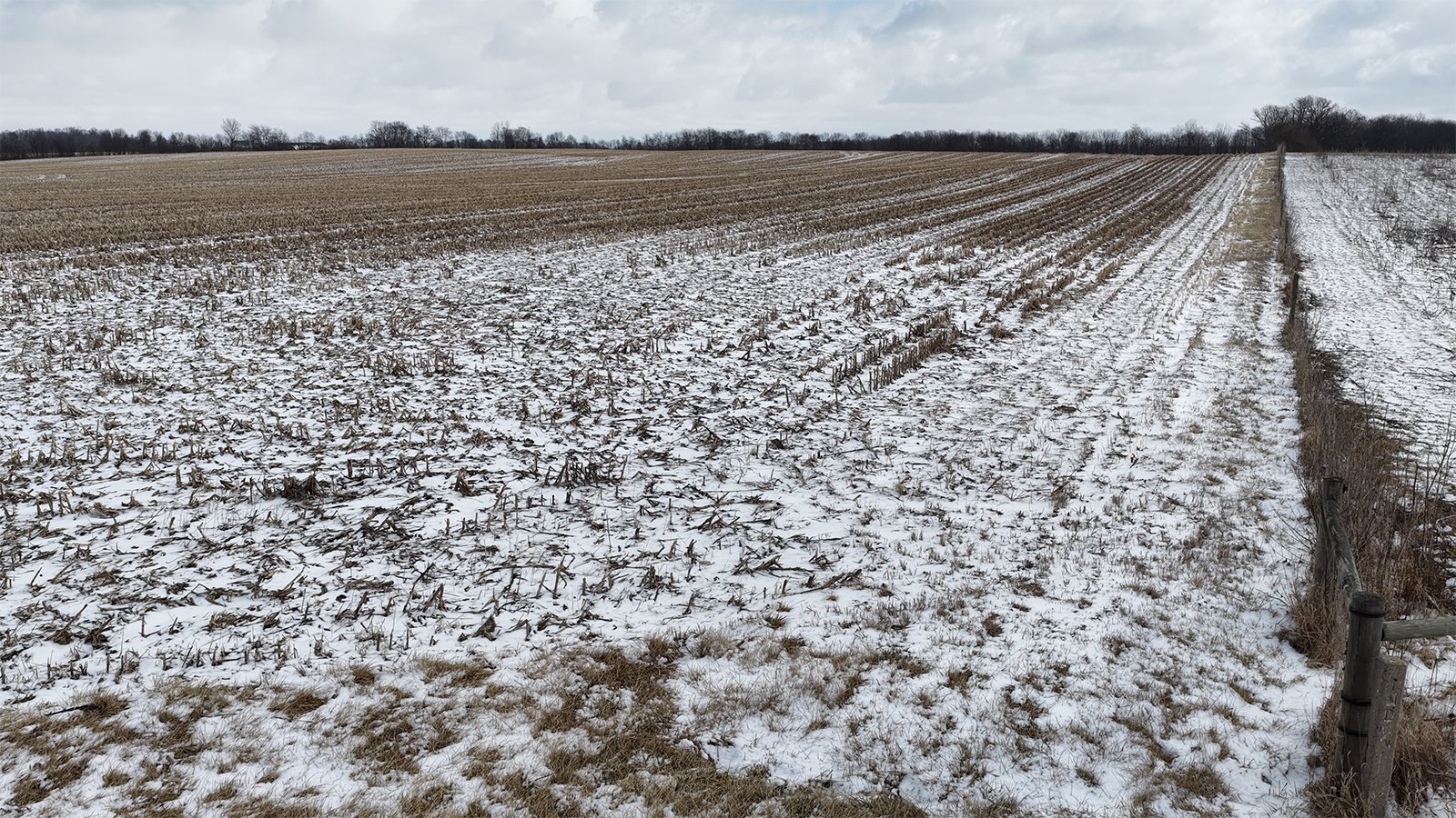 Property photo 11 - LAND AUCTION -78+/-ACRES OFFERED IN 1 TRACT IN WAYNE COUNTY, INDIANA