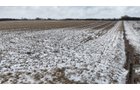 Property photo 11 - LAND AUCTION -78+/-ACRES OFFERED IN 1 TRACT IN WAYNE COUNTY, INDIANA