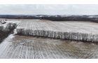 Property photo 7 - LAND AUCTION -78+/-ACRES OFFERED IN 1 TRACT IN WAYNE COUNTY, INDIANA