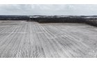Property photo 6 - LAND AUCTION -78+/-ACRES OFFERED IN 1 TRACT IN WAYNE COUNTY, INDIANA